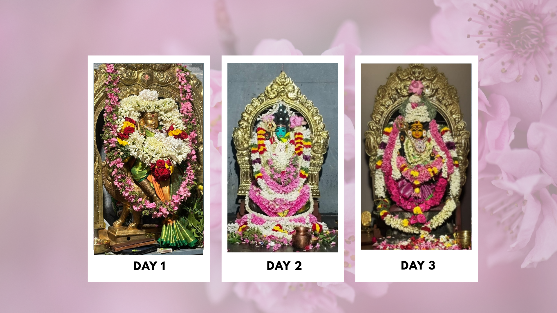 Sri-Boomadevi-Erode-Mandala-Pooja-Photos