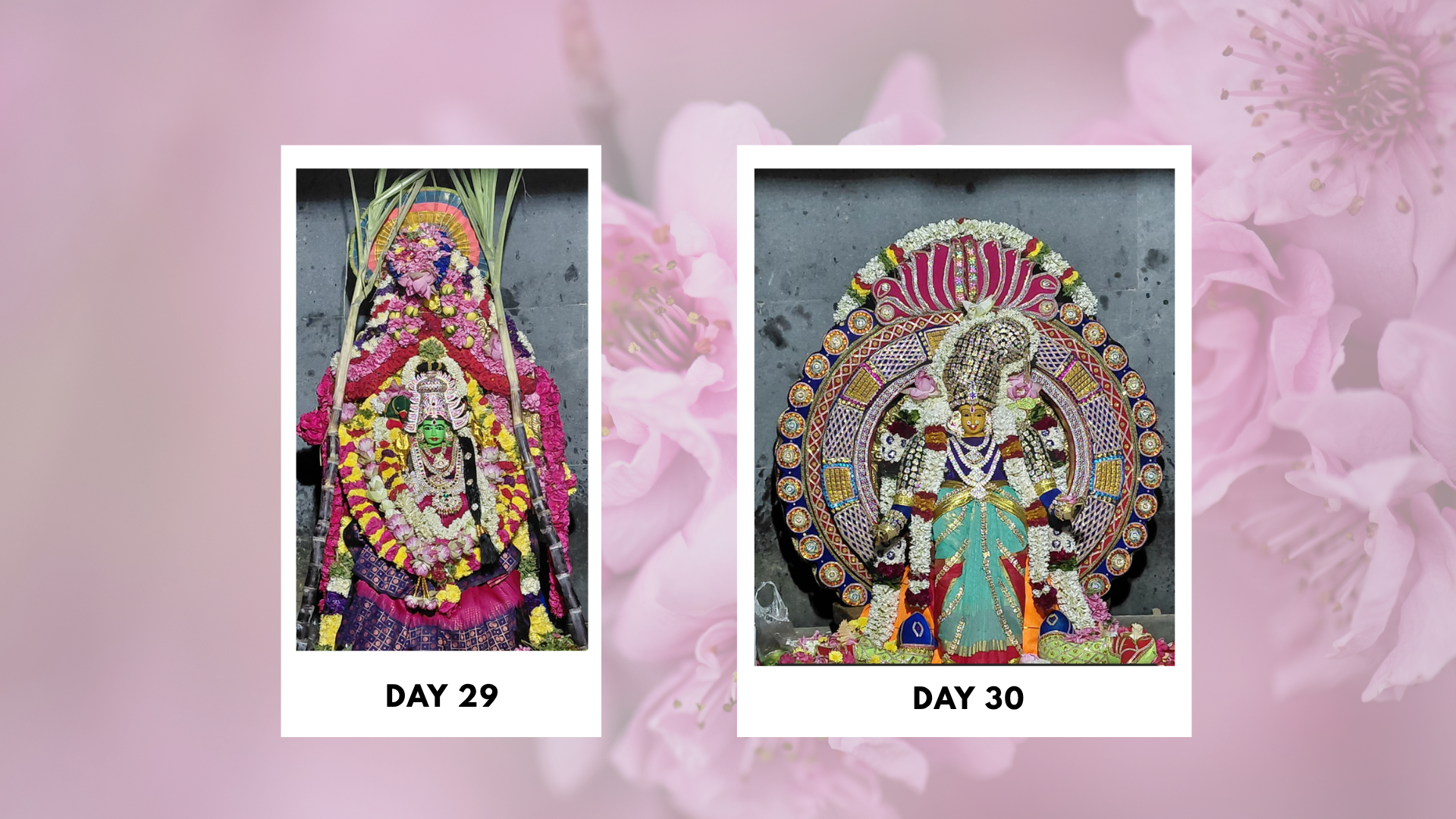 Sri-Boomadevi-Erode-Mandala-Pooja-Photos