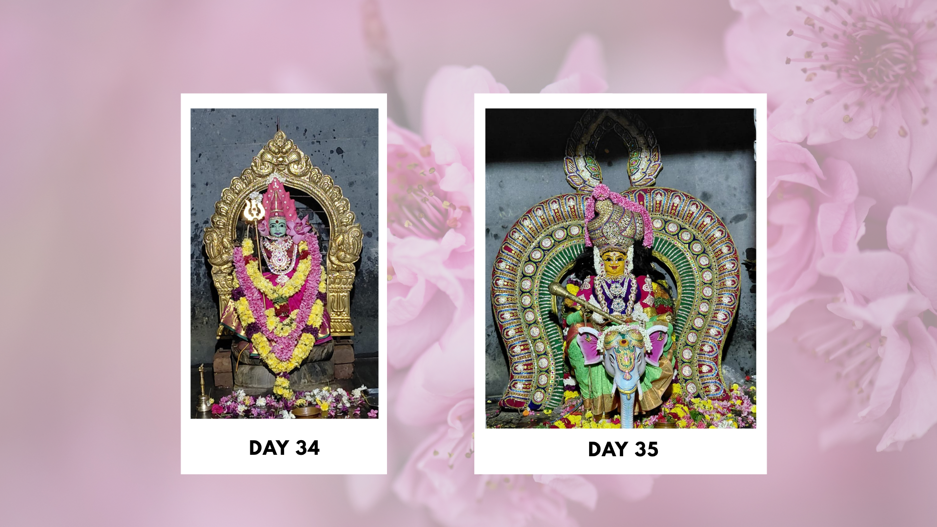 Sri-Boomadevi-Erode-Mandala-Pooja-Photos