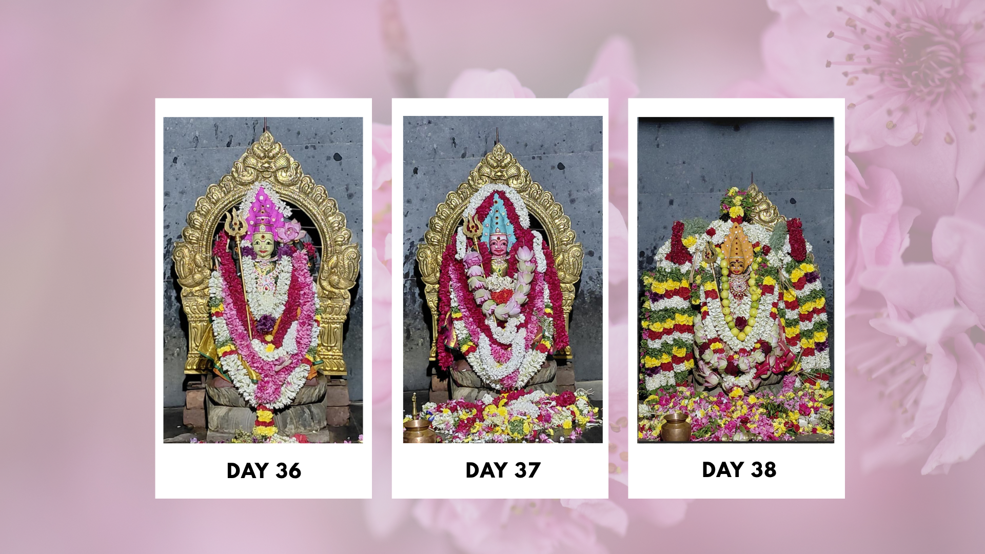 Sri-Boomadevi-Erode-Mandala-Pooja-Photos