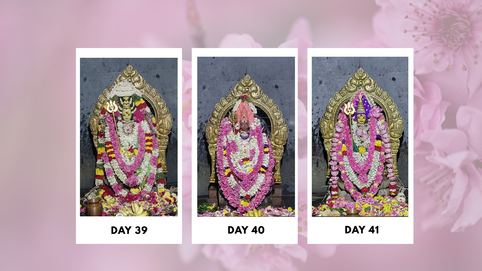 Sri-Boomadevi-Erode-Mandala-Pooja-Photos