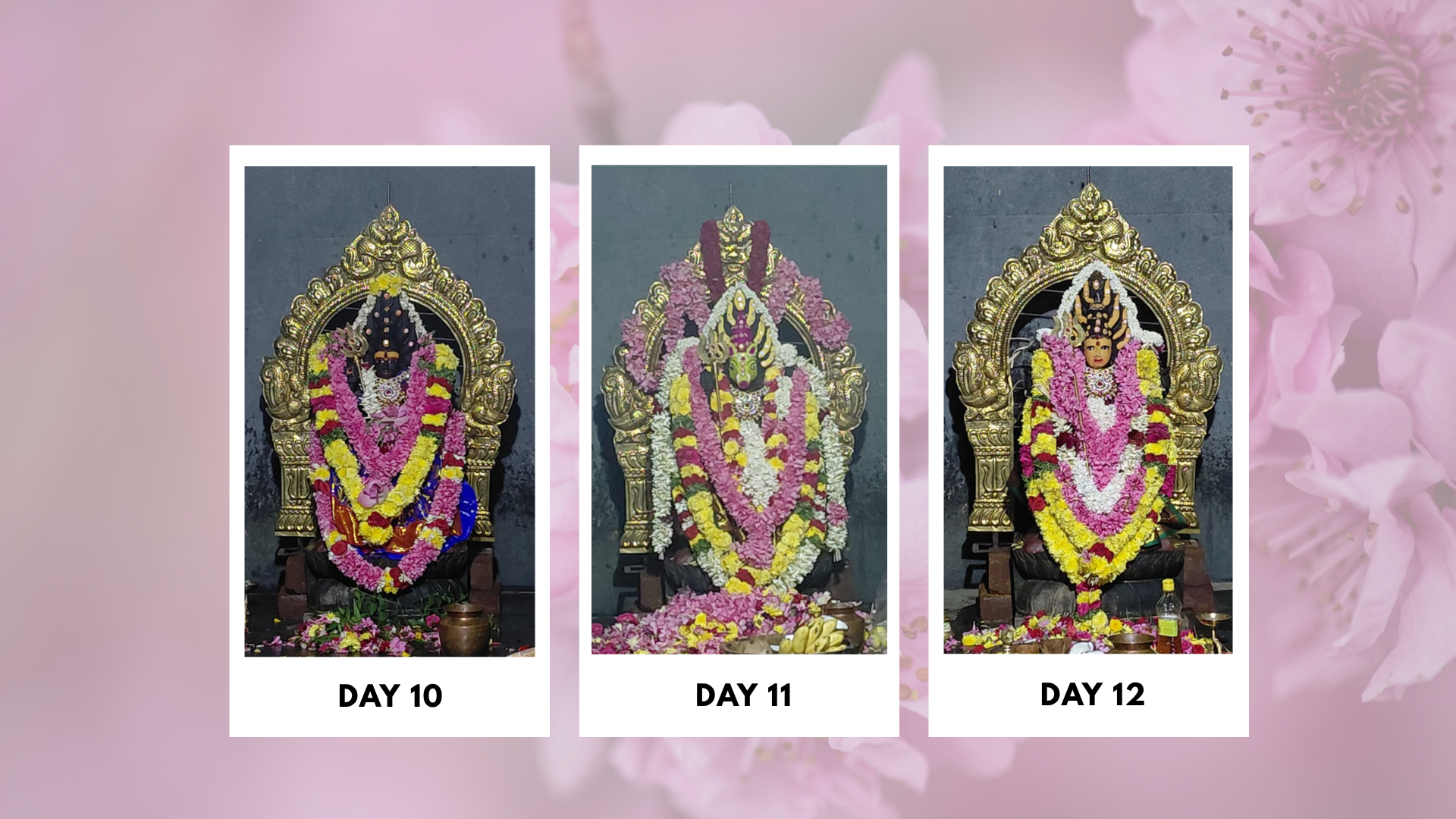 Sri-Boomadevi-Erode-Mandala-Pooja-Photos