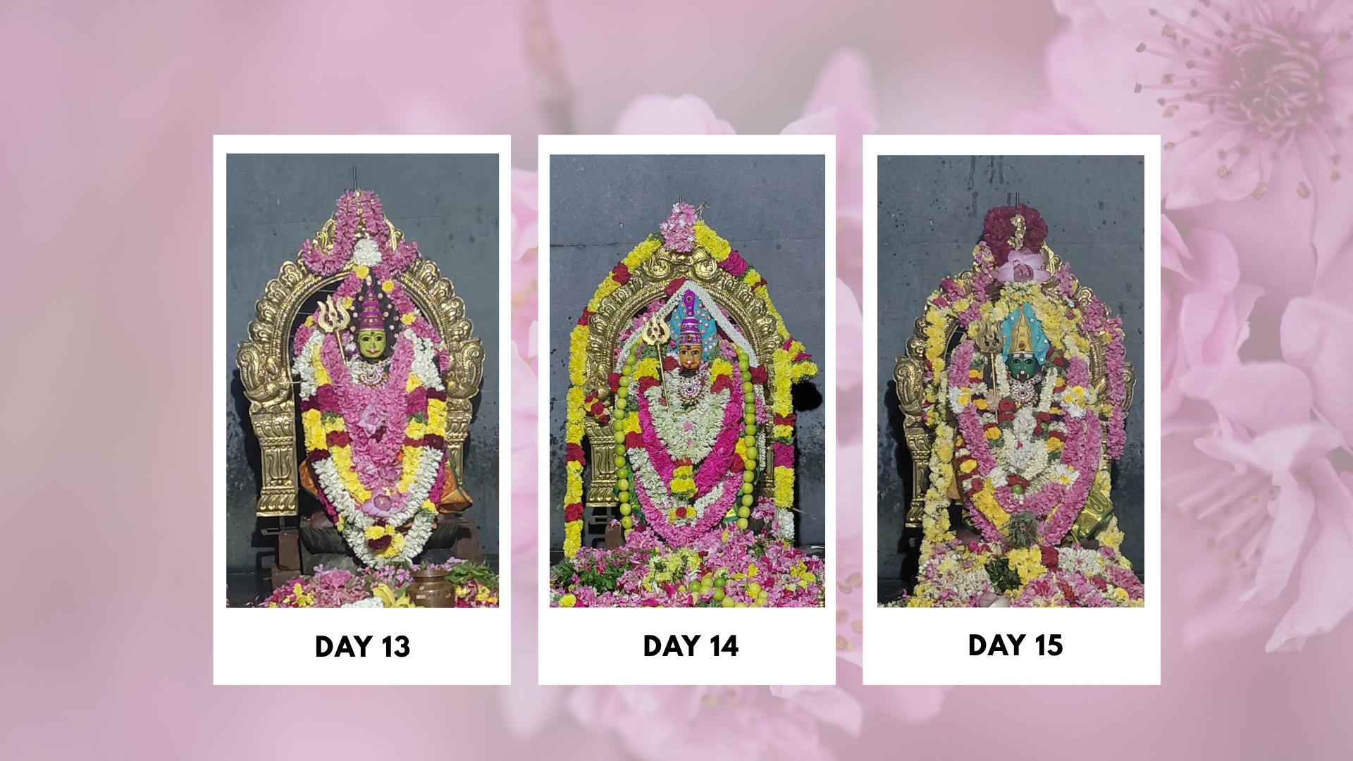 Sri-Boomadevi-Erode-Mandala-Pooja-Photos