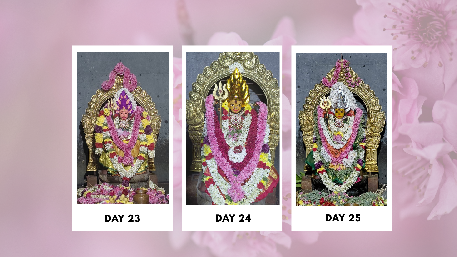 Sri-Boomadevi-Erode-Mandala-Pooja-Photos